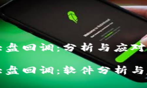 区块链大盘回调：分析与应对策略

区块链大盘回调：软件分析与趋势解读